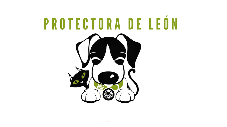 Logo de la protectora